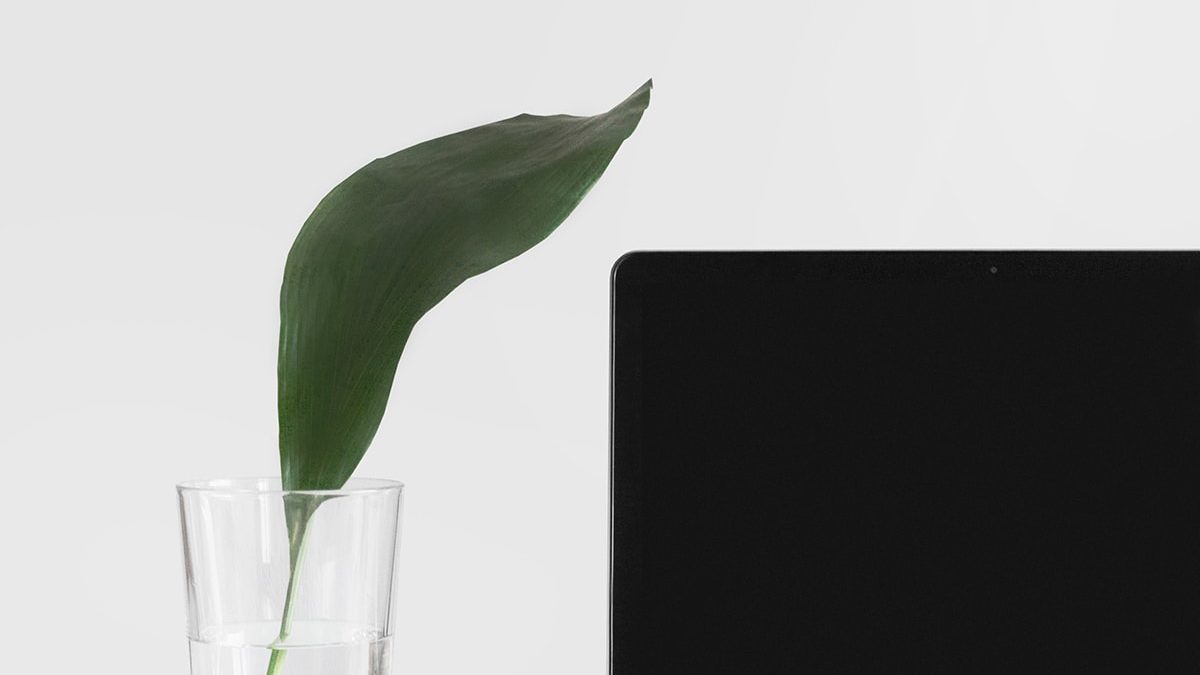 The Single Most Important Thing You Need To Know About Success
